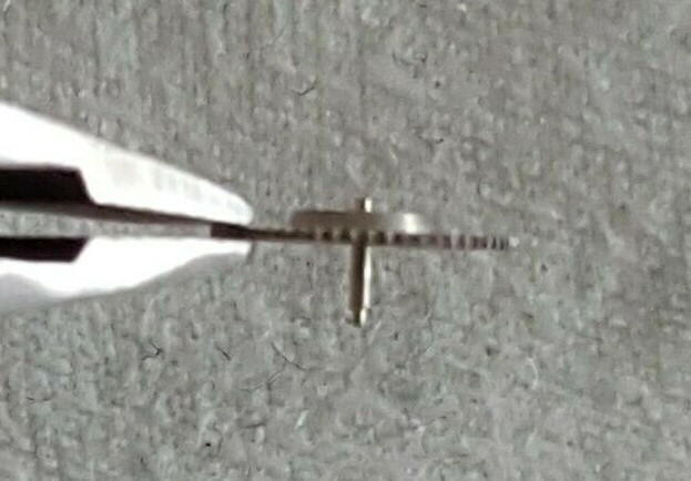 AS Caliber 1361 Part Number 1482 (Driving Gear For Ratchet Wheel)