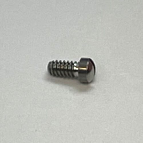 OEM PANERAI Bridge/Crown Guard Screw for Luminor 44mm MX000D9N