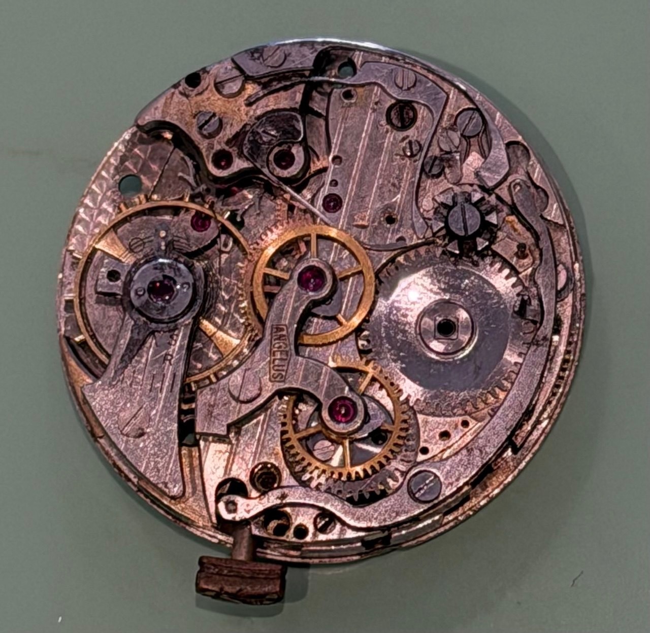 Angelus caliber 215 movement for parts