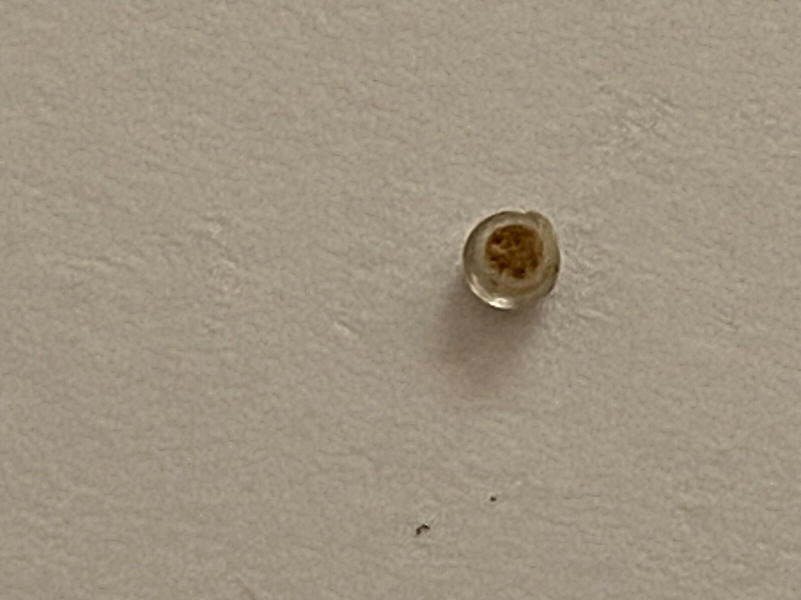 Vintage Luminous Dot For Rolex Submariner Model 5513-1680