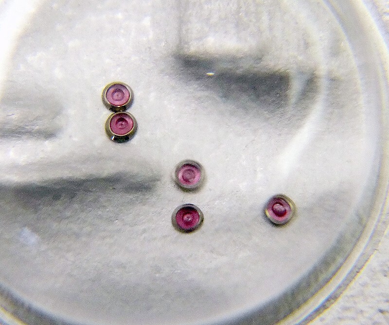 New Genuine Rolex B95019-2-G5 Jewels for Watch Caliber Movement
