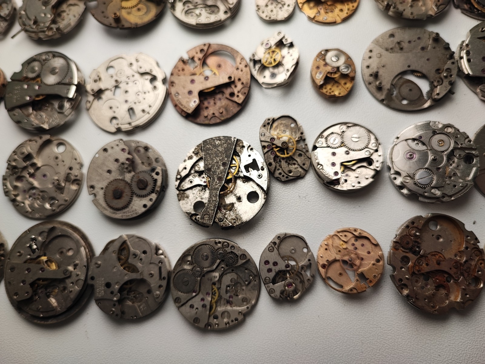 mix Watch Main Plate platinum lot watchmaker ut int fe as st rw jej bfg others
