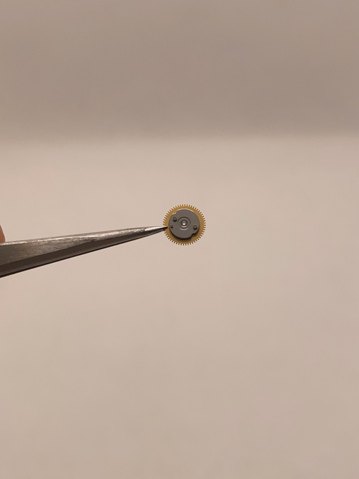 Rolex 3186-260-1-Y1 Minute Wheel Cal. 3186