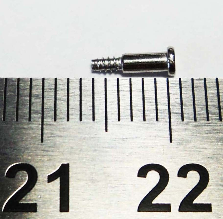CASIO Stainless Steel Screw BGR-20 DW-002 DW-8700 DW-9100 G-7900 G-7900 Band