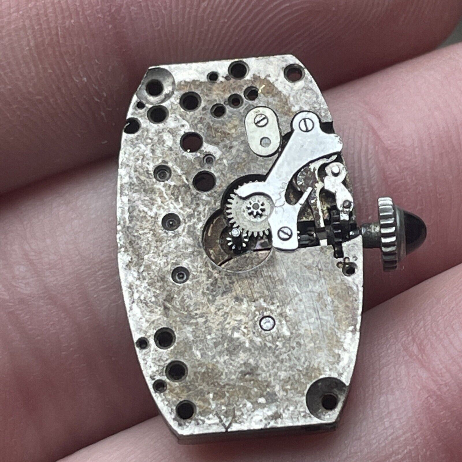 VTG Warwick Watch Co. 17 Jewel Swiss Movement