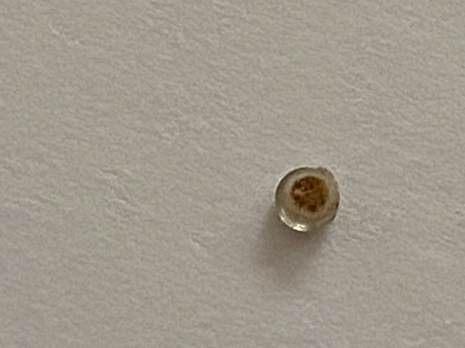 Vintage Luminous Dot For Rolex Submariner Model 5513-1680