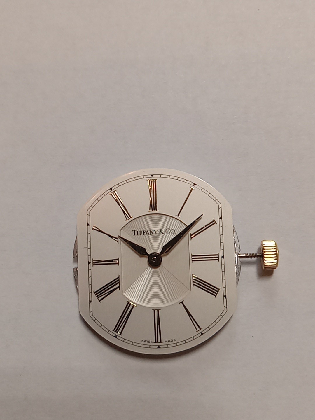 Tiffany & Co High Grade Movement 7 Jewels Mens Swiss Made Quartz 100% Original