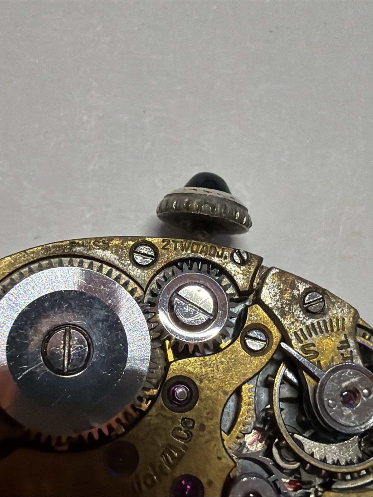 Warwick Watch Movement Cal. 225 17 jewels -6.5 W/ Dial