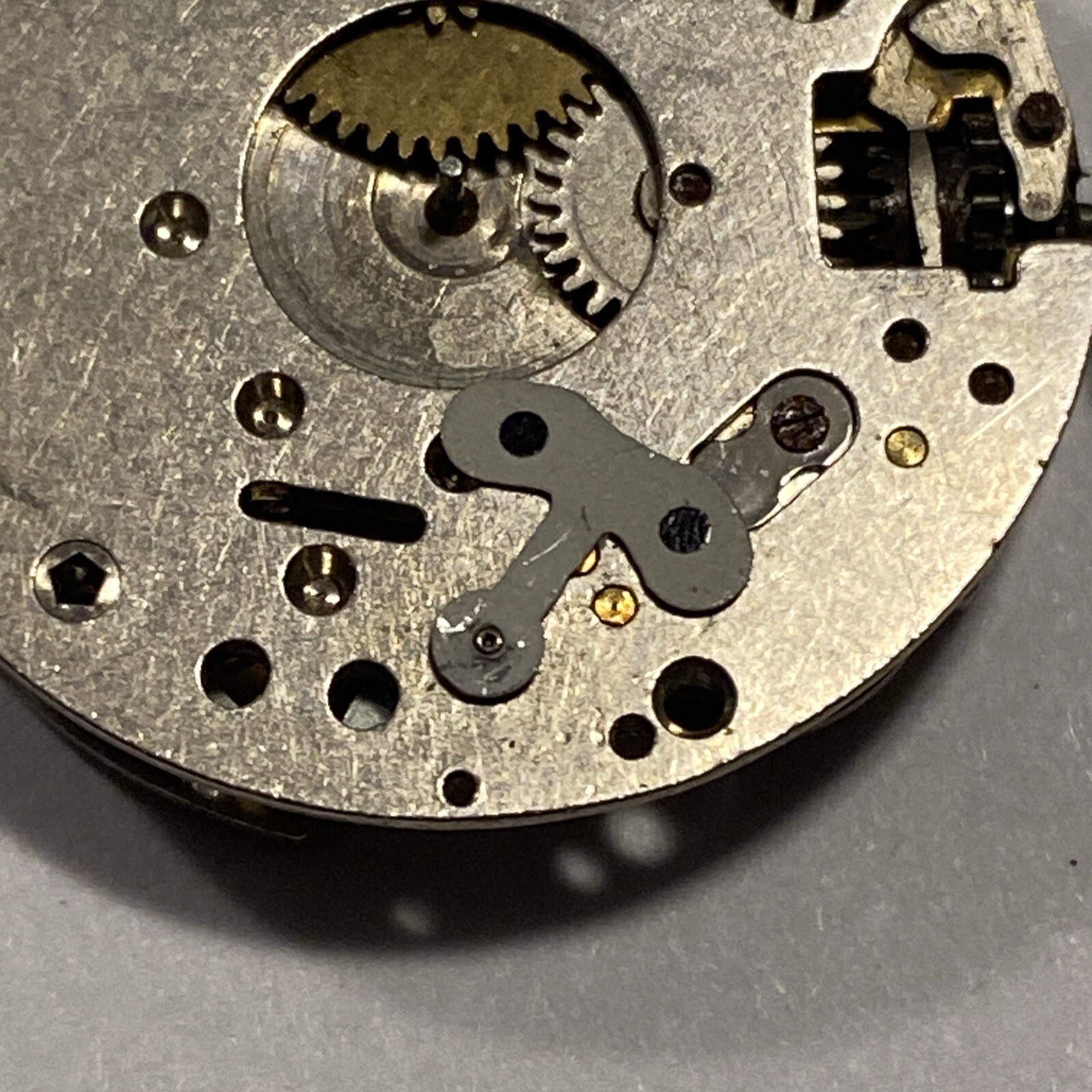 Rega LTD Israel Watch Co. Movement 1 Jewel Character Watch For Parts Good Staff