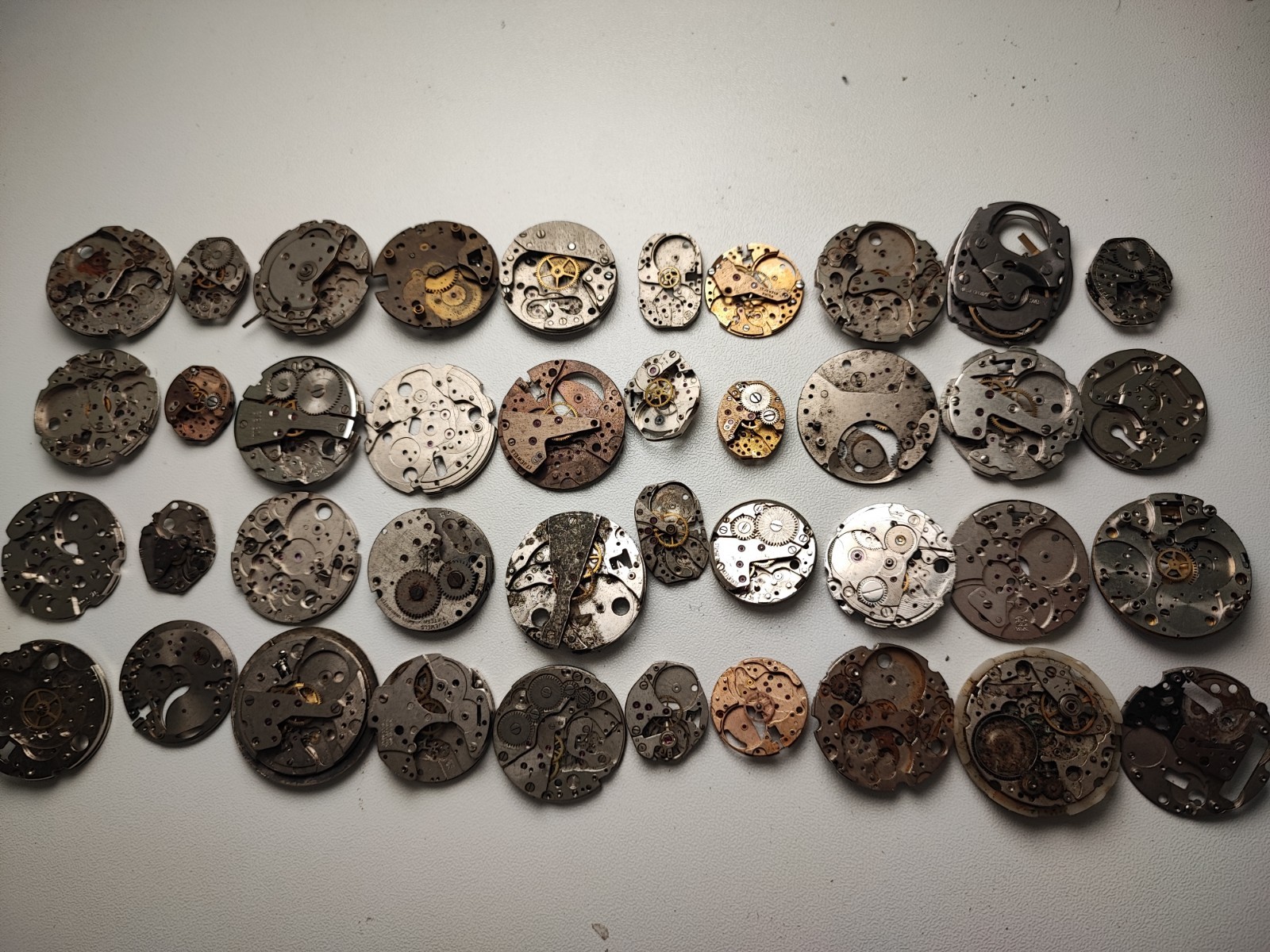 mix Watch Main Plate platinum lot watchmaker ut int fe as st rw jej bfg others