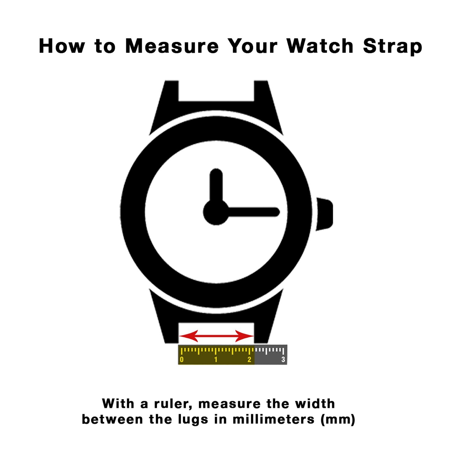 Stainless Steel Spring Bars for Watch Band, Pushpins (1.5mm thick), 6mm to 30mm