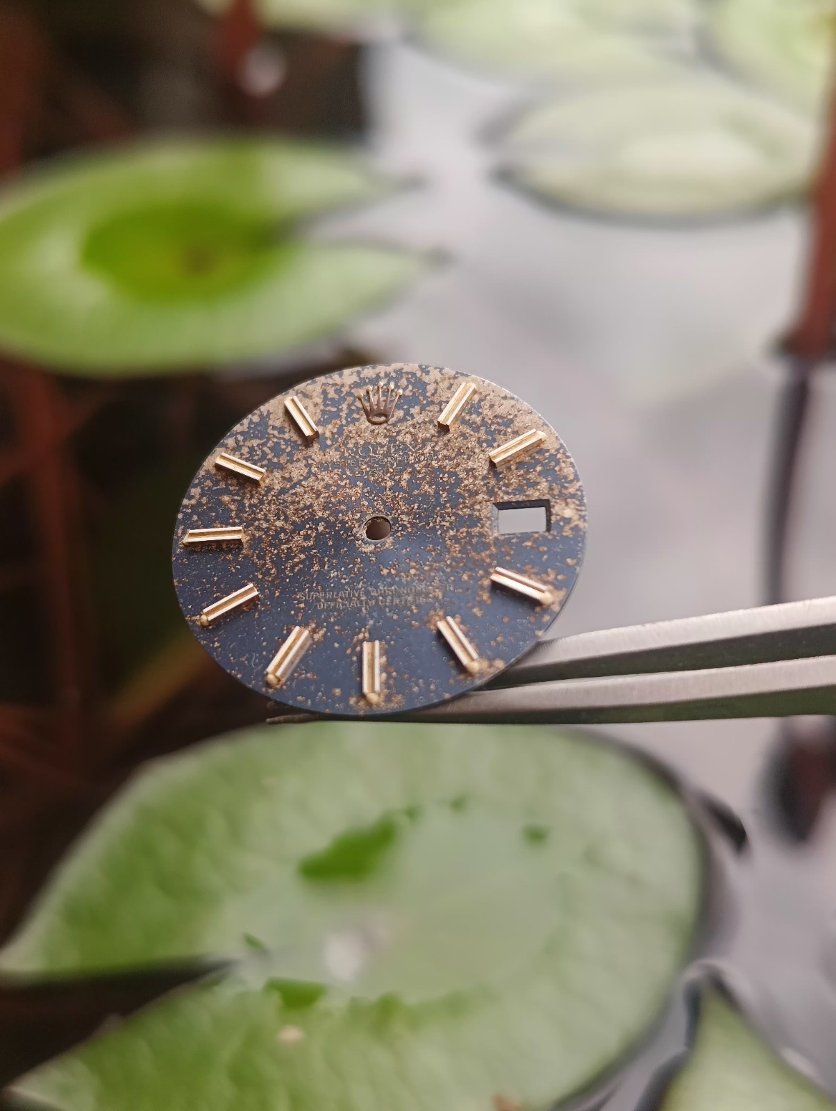 Vintage Rolex tropical dial, 1500 series (ref. 1501, 1503, 1505)