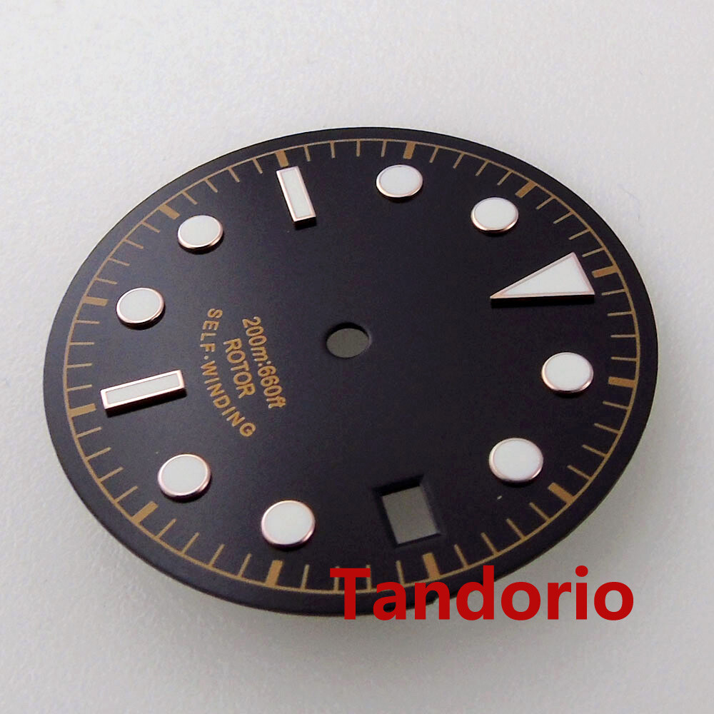 30.4mm Men Watch Dial Fit NH35 NH36 7s26 ETA 2836 2824 PT5000 Automatic Movement