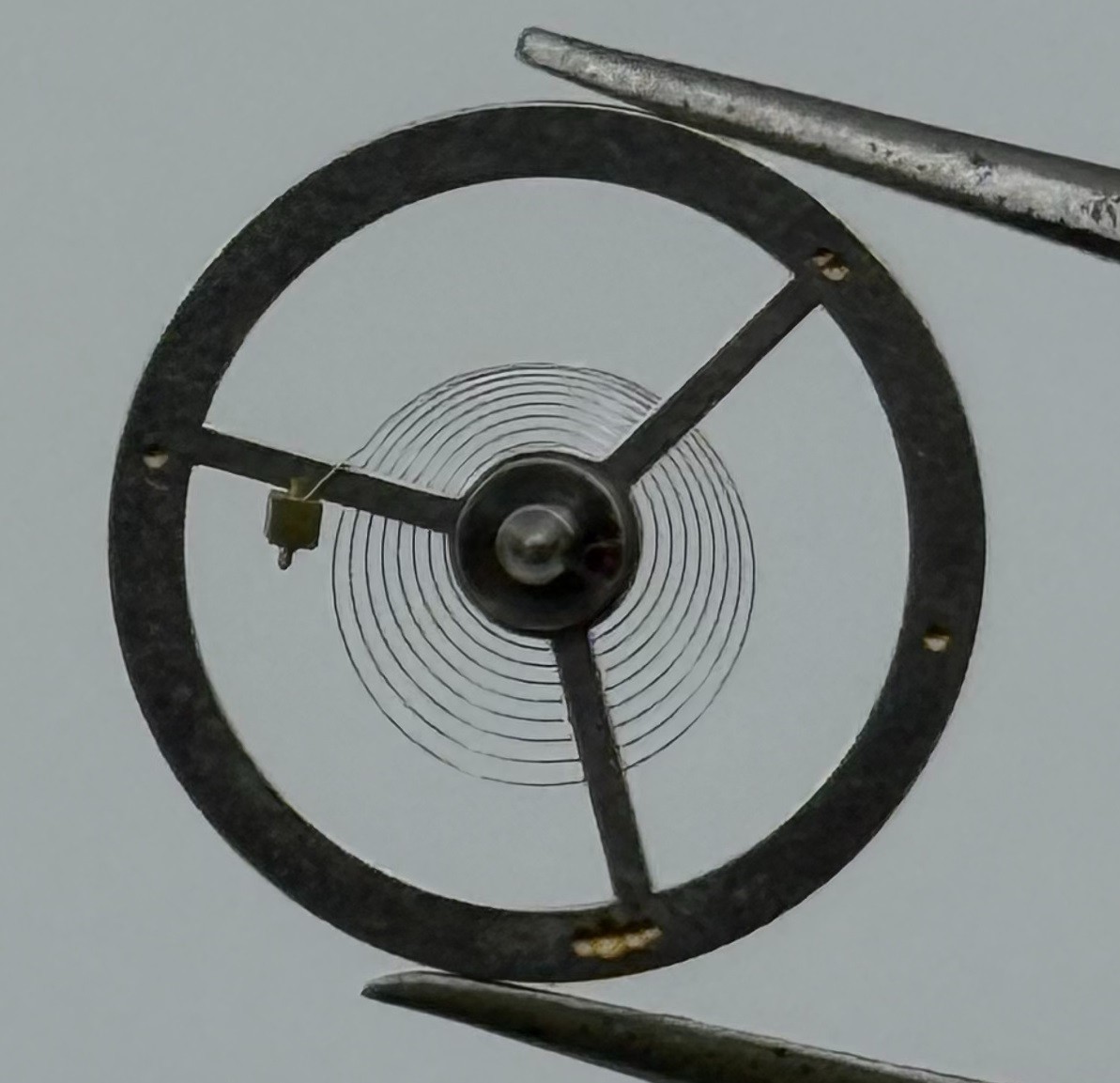 BFG 582 Balance Wheel Complete And Spring 13½’’’ 1782 Watch Movement Parts NOS