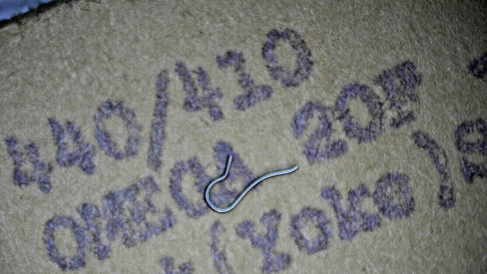 OMEGA – Yoke/Set Spring (1 piece) – OEM part #1112 for Omega cal 100 (26.5) +