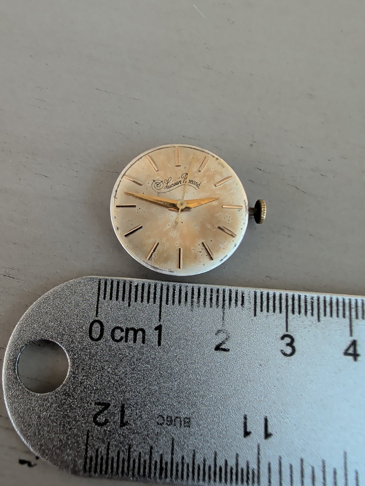 Lucien Picard Watch Movement Swiss 17 Jewel AXU 24mm Gold Dial Ticking