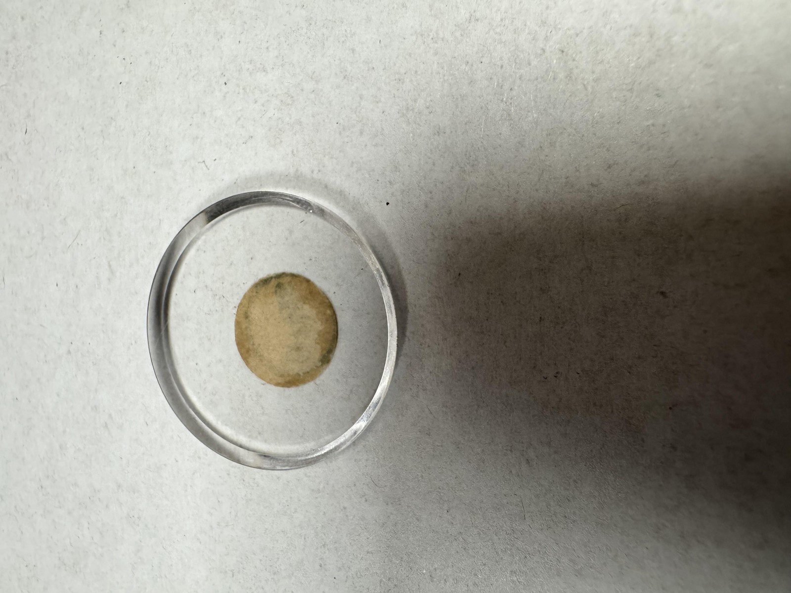 Vintage Unmarked Watch Acrylic Crystal Round 21.88mm 9 11/16 Clear Lens