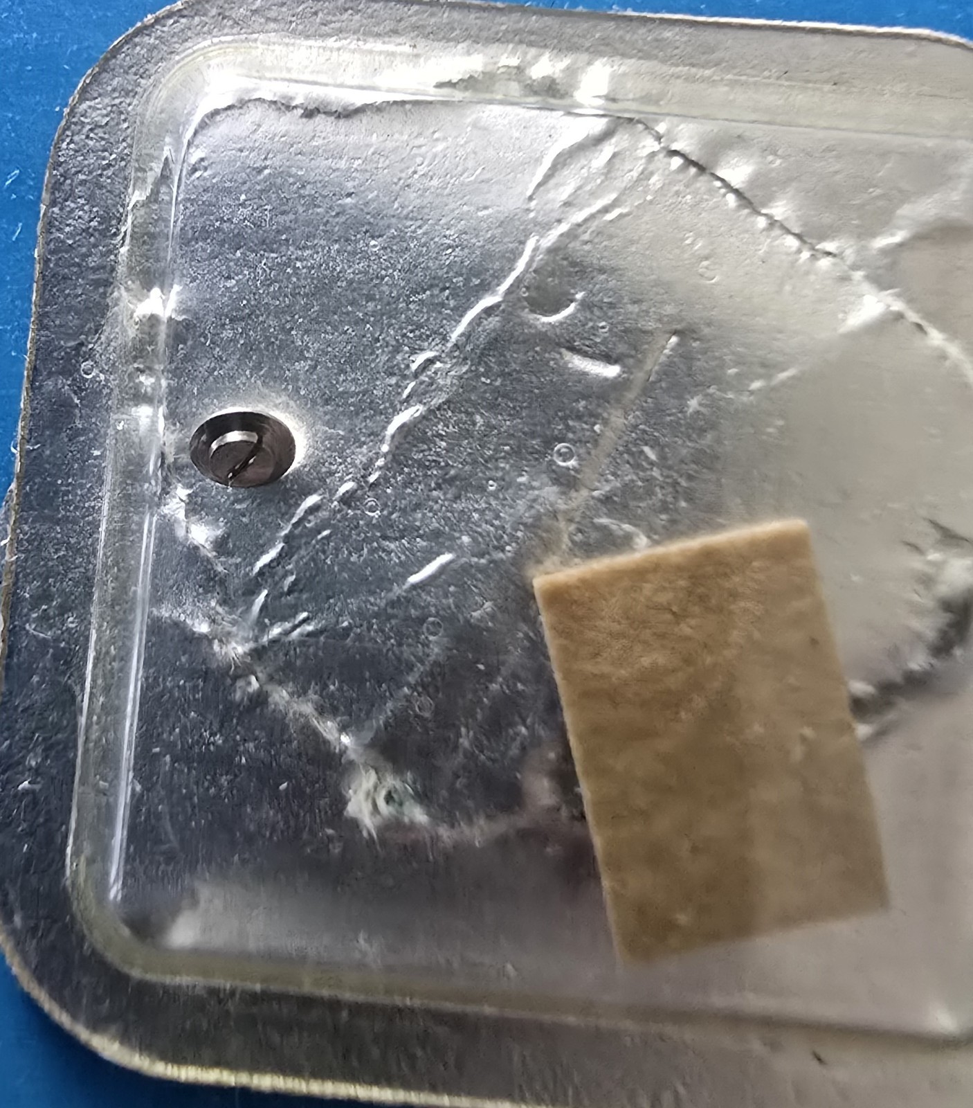 Rolex Genuine Cal.1530 #7896 Case Screw NOS