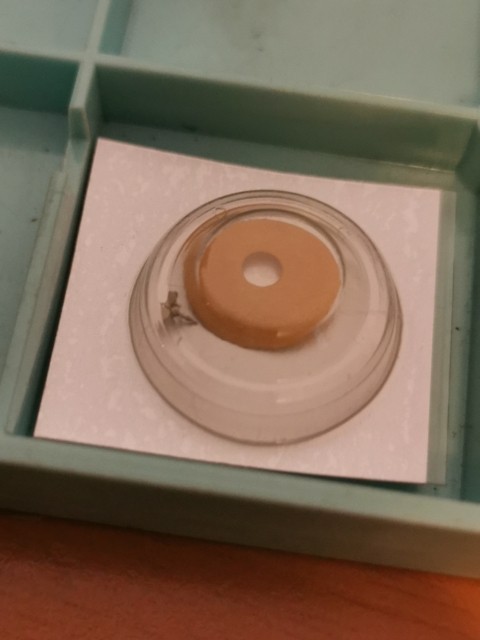 Genuine Seiko 902 580 Minute Recording Wheel Watch Part 902580 NOS