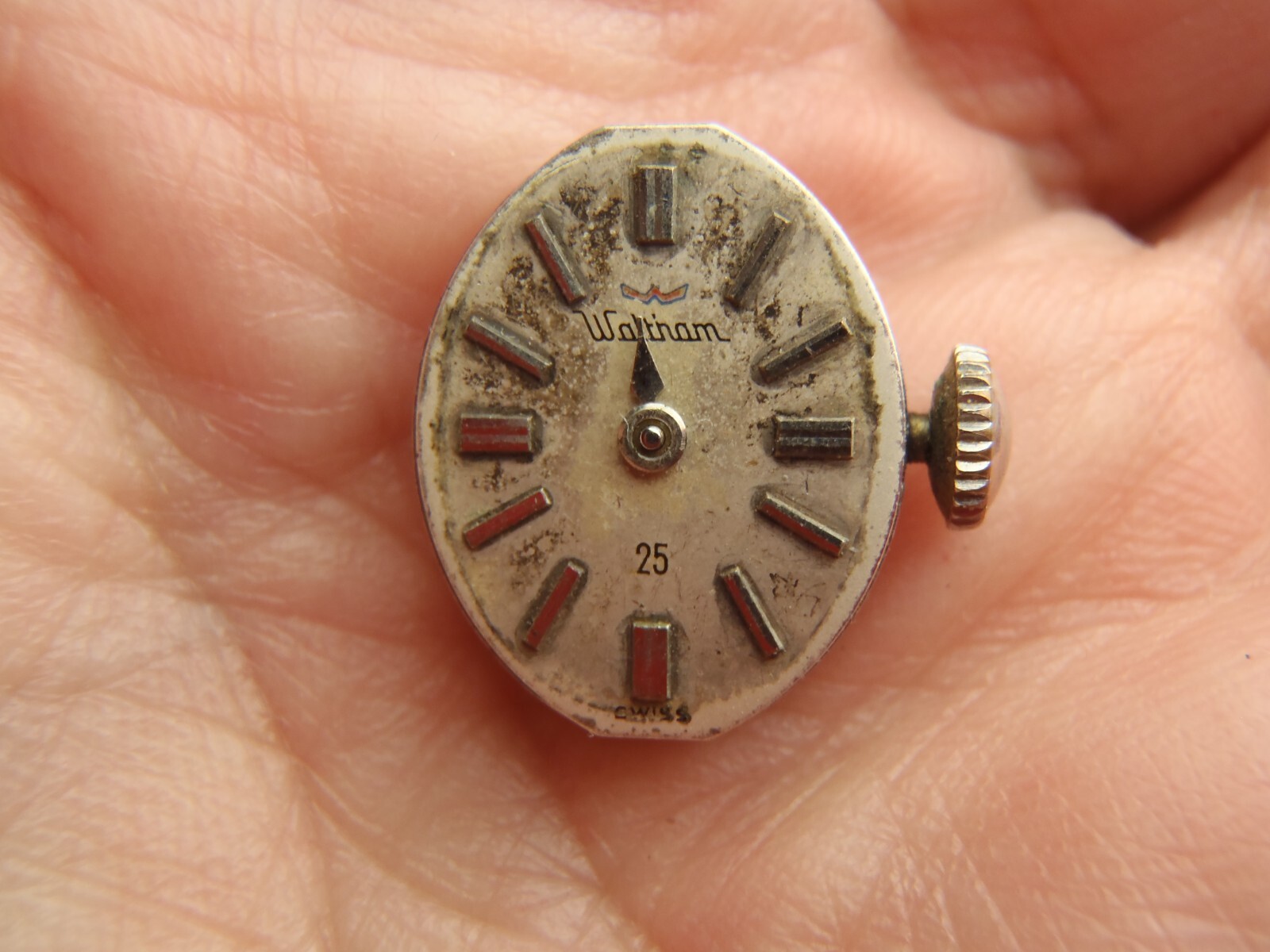 WALTHAM 25 Jewel Manual Winding Movement Running