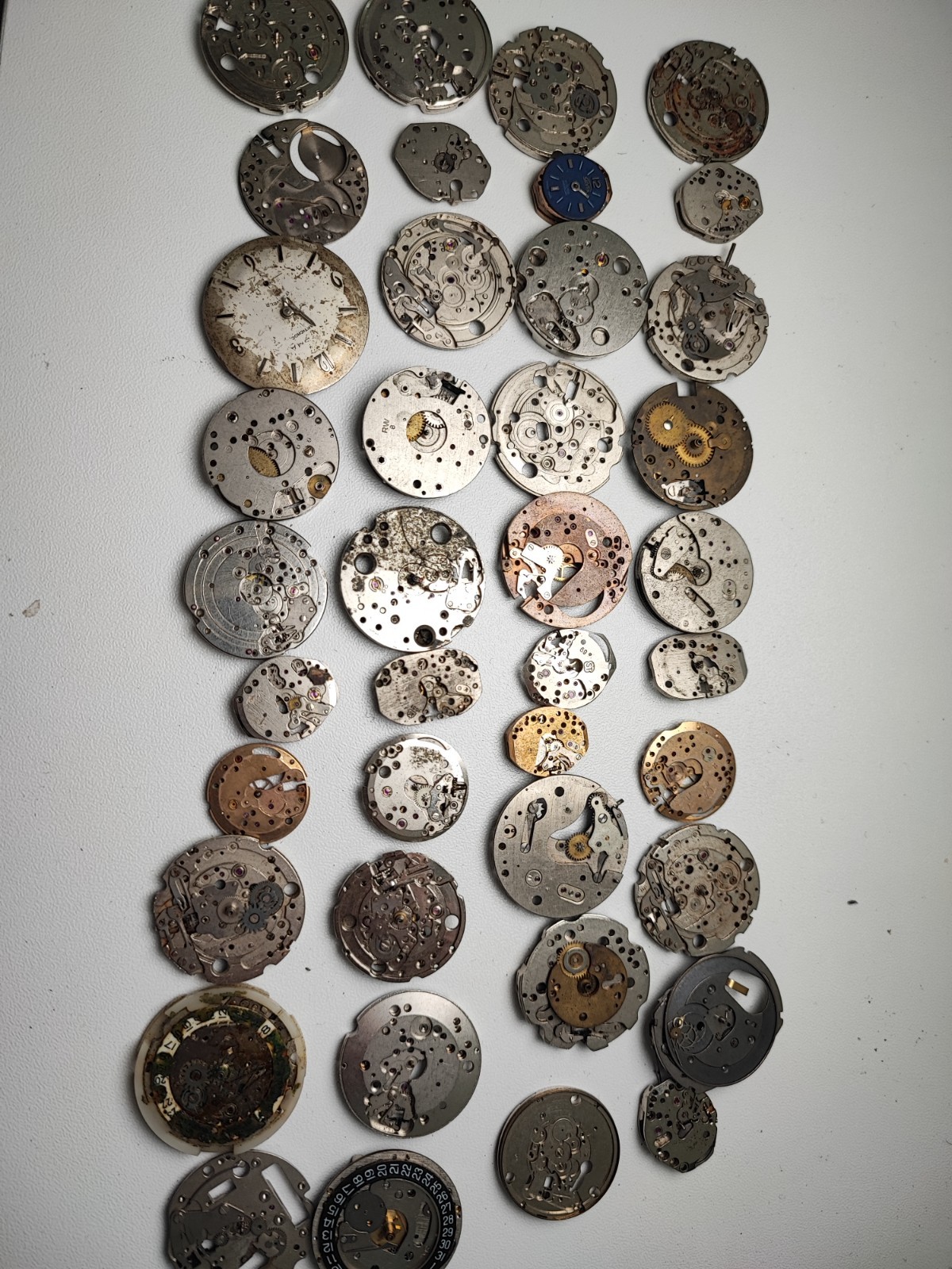 mix Watch Main Plate platinum lot watchmaker ut int fe as st rw jej bfg others