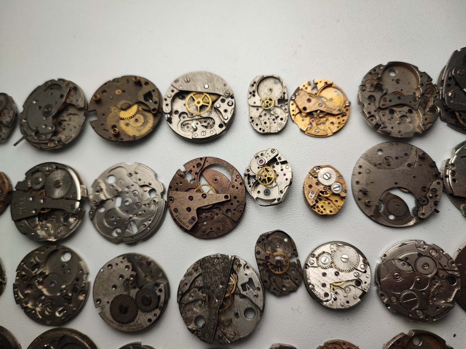 mix Watch Main Plate platinum lot watchmaker ut int fe as st rw jej bfg others