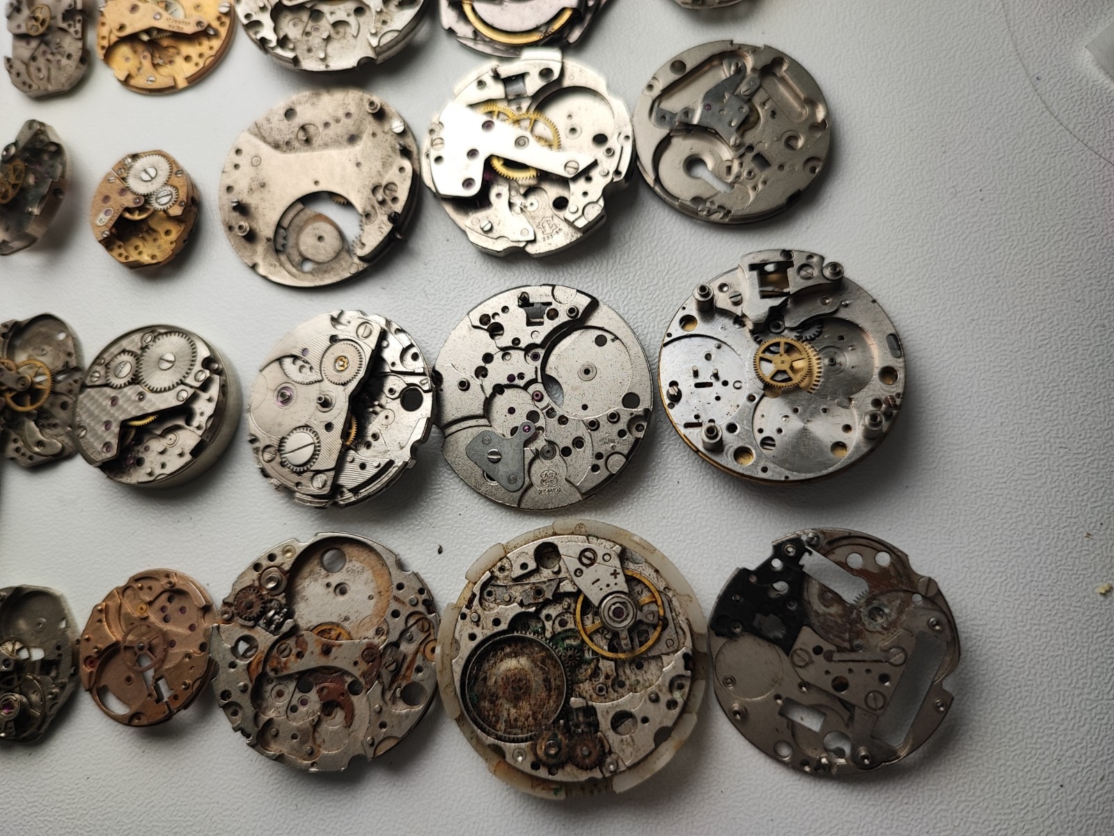 mix Watch Main Plate platinum lot watchmaker ut int fe as st rw jej bfg others