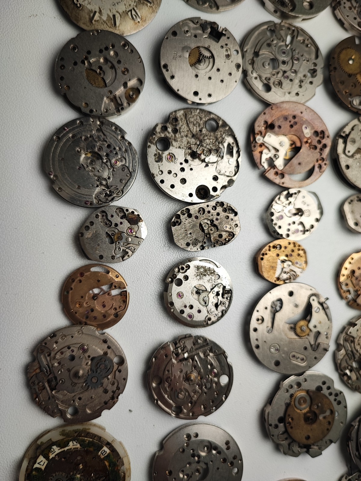 mix Watch Main Plate platinum lot watchmaker ut int fe as st rw jej bfg others