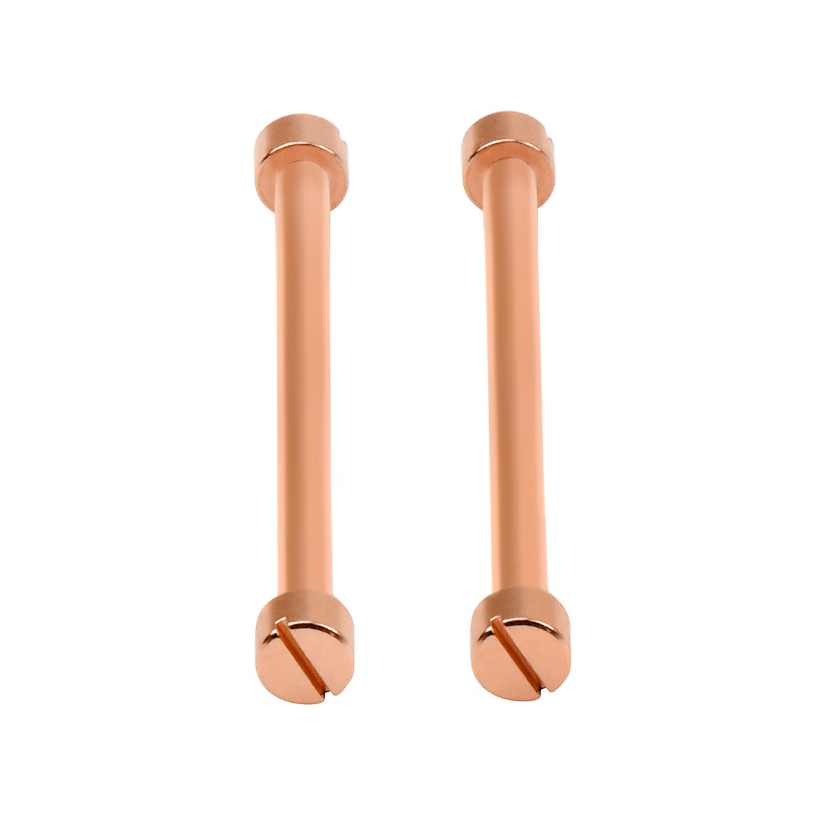 2 + 4 SCREW & TUBE (PINS) IN 27MM WATCH STRAP ROSE GOLD