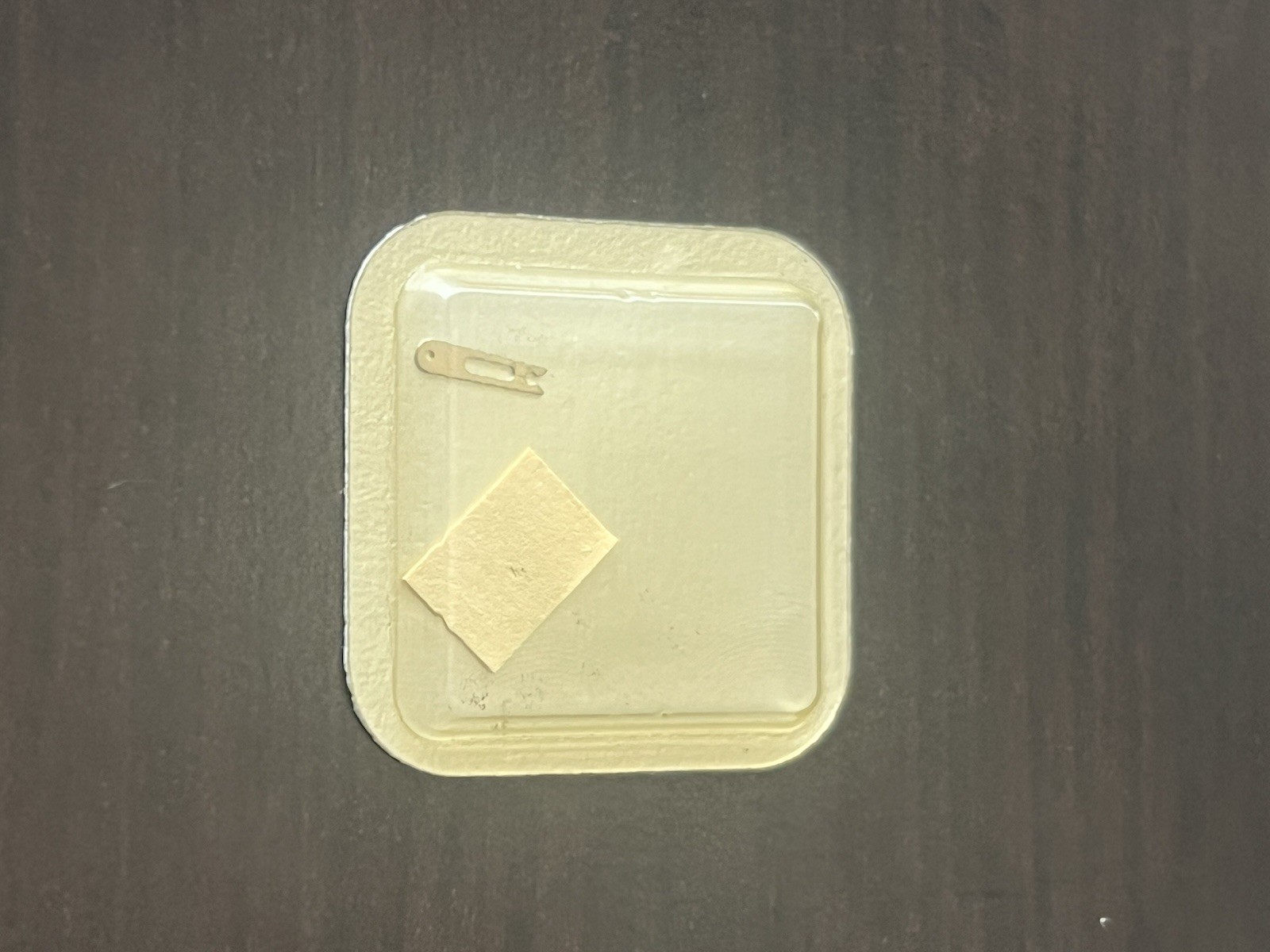 Rolex 3135 560-2 Spring Clip For Oscillating Weight. Factory Sealed. NOS