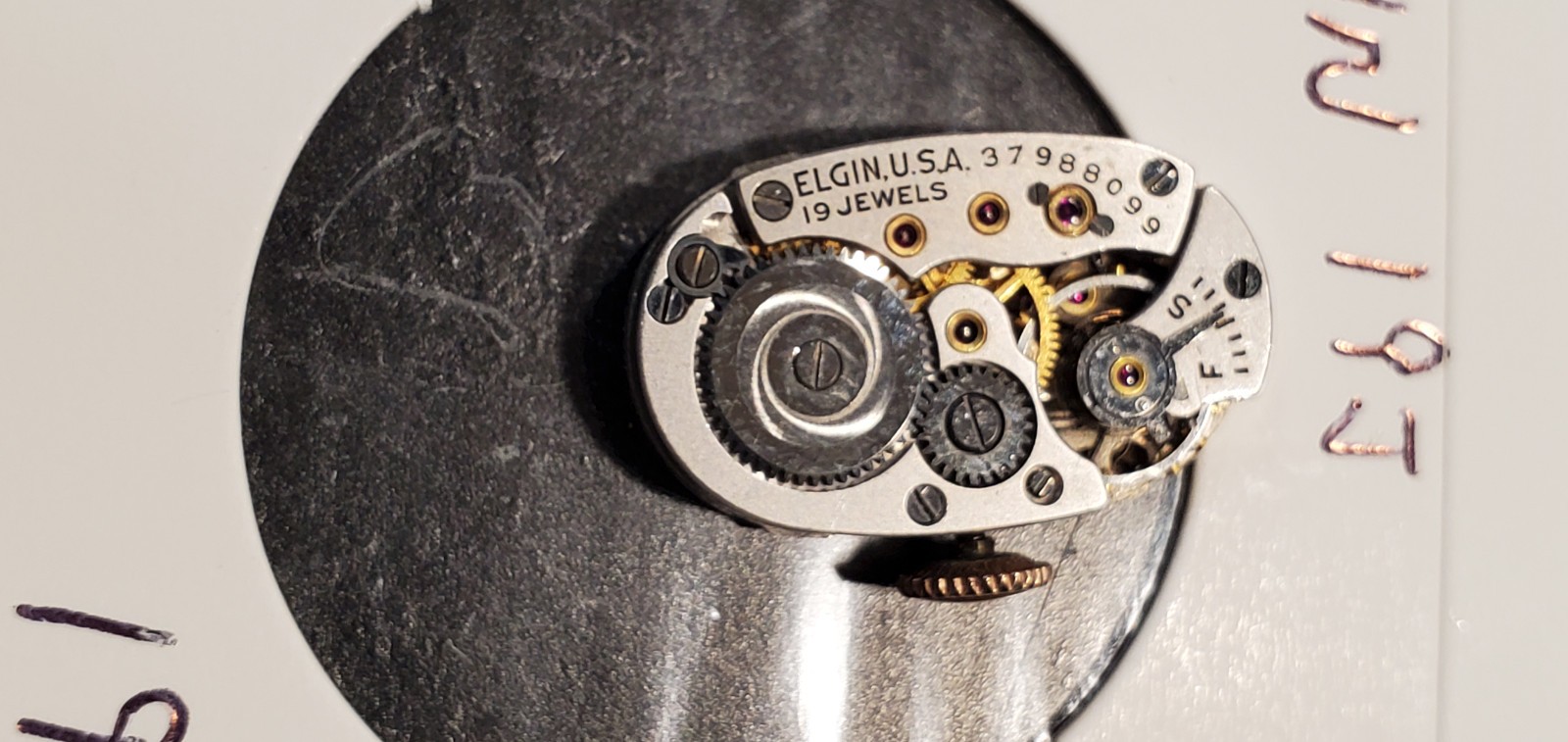 WOMENS ELGIN 19j WRIST WATCH MOVEMENT #1928