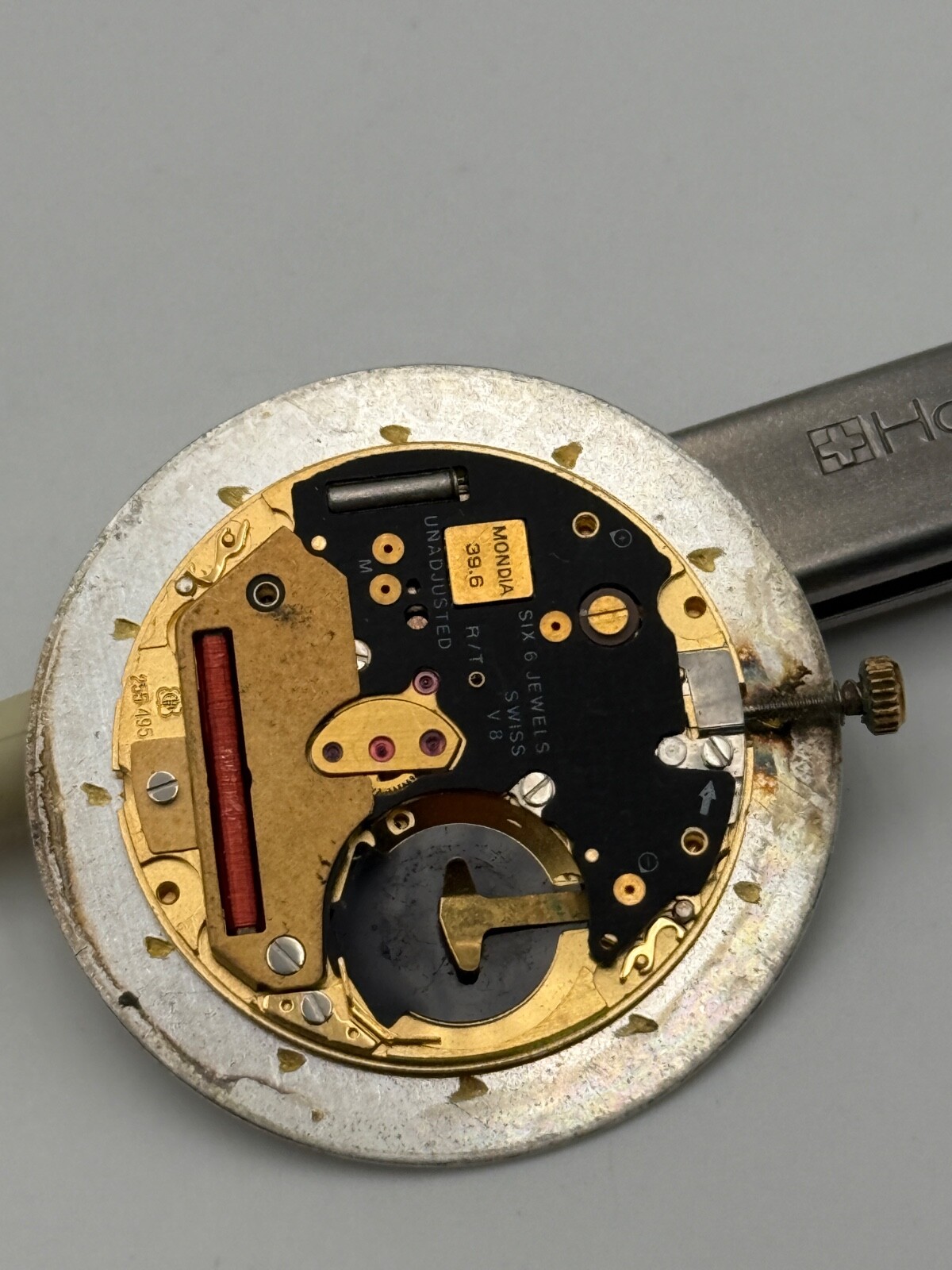 Mondia pointer date 39.6 eta 255.495 movement movement