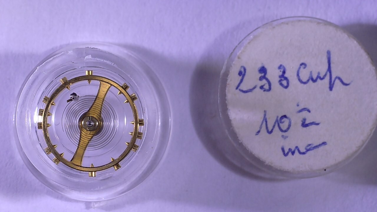 Complete Balance Watch Cupillard 10 1/2 233 INCABLOC With Screw (SKU.16)