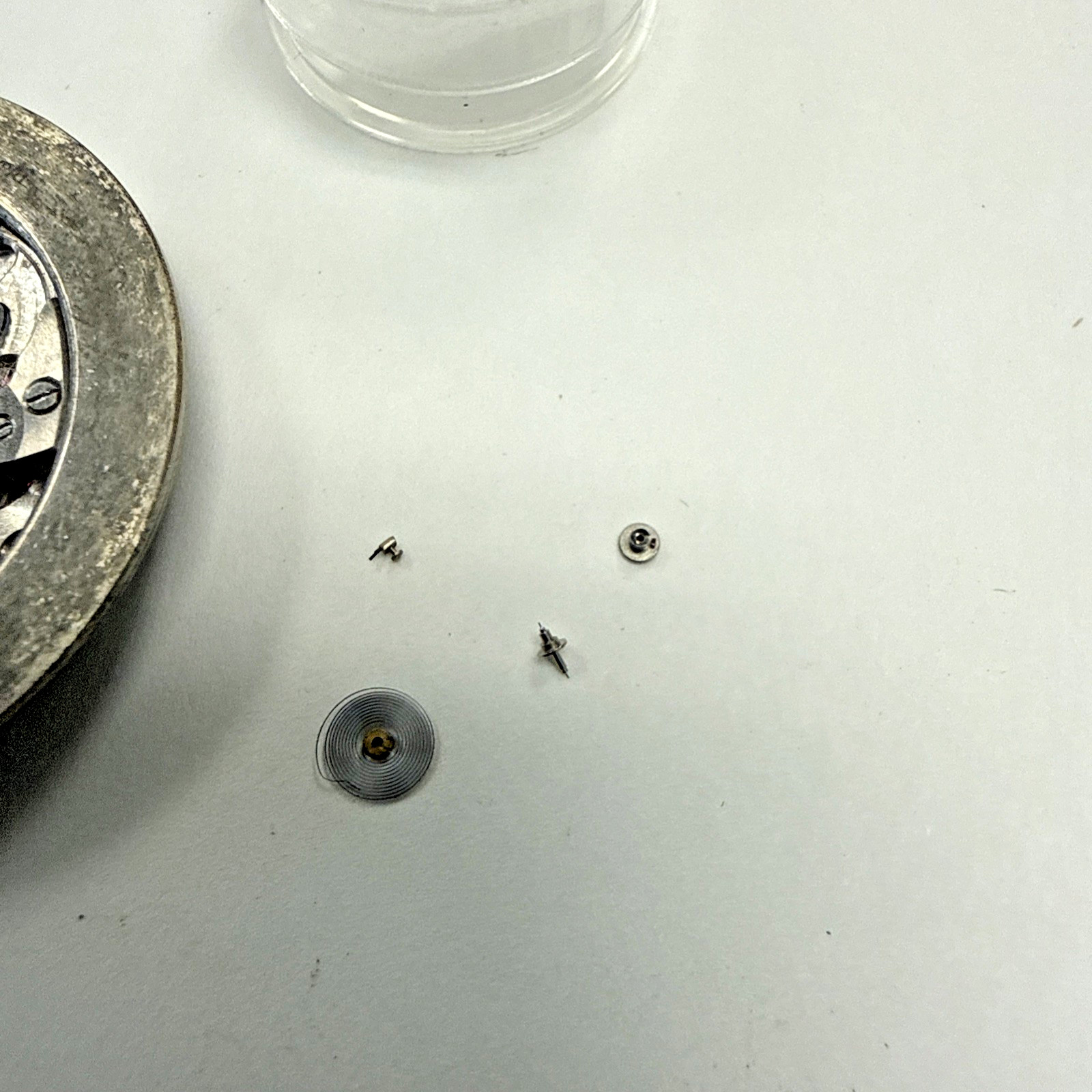 Audemars Piguet 18j Movement And Movement Ring.