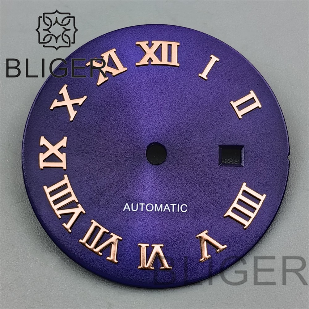 24.5mm Roman Numerals Sun Pattern Watch Dial Date Fit NH05 06 Movement