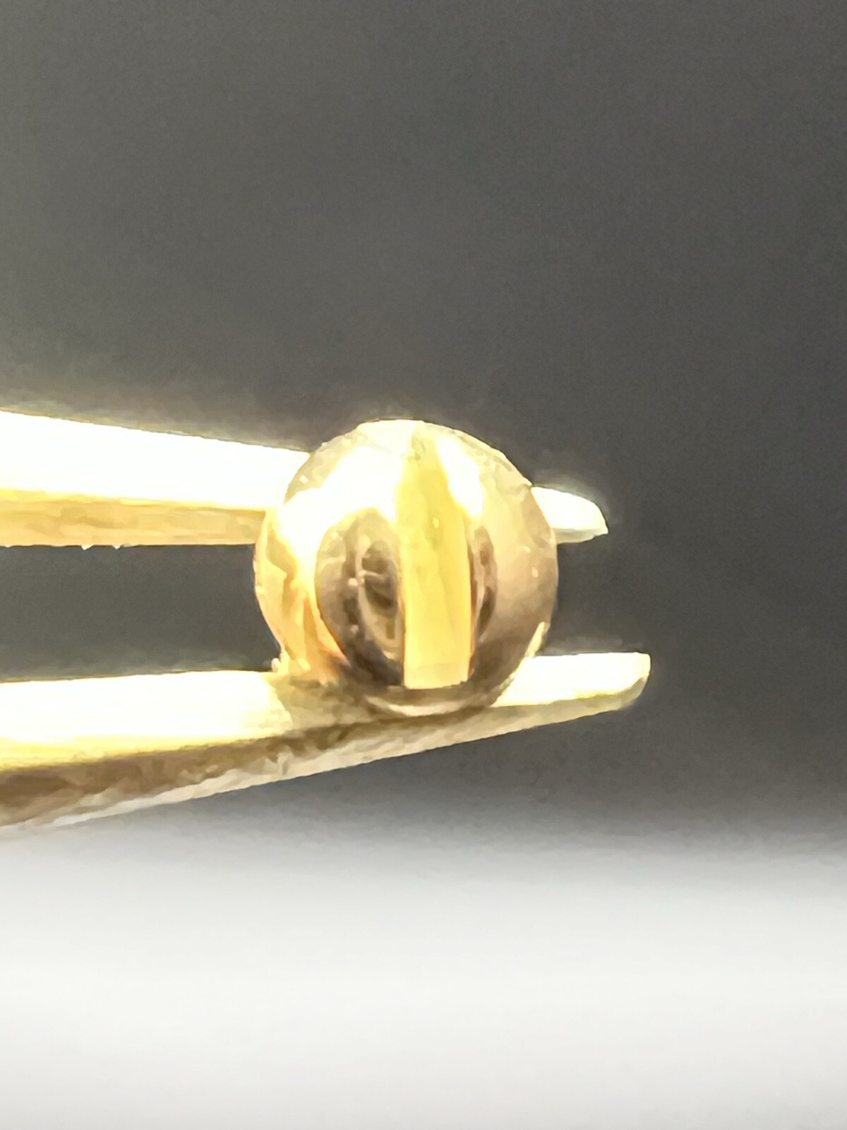 Breitling Single 29mmLong Riders Screw for Count UpDown Bezels G2U