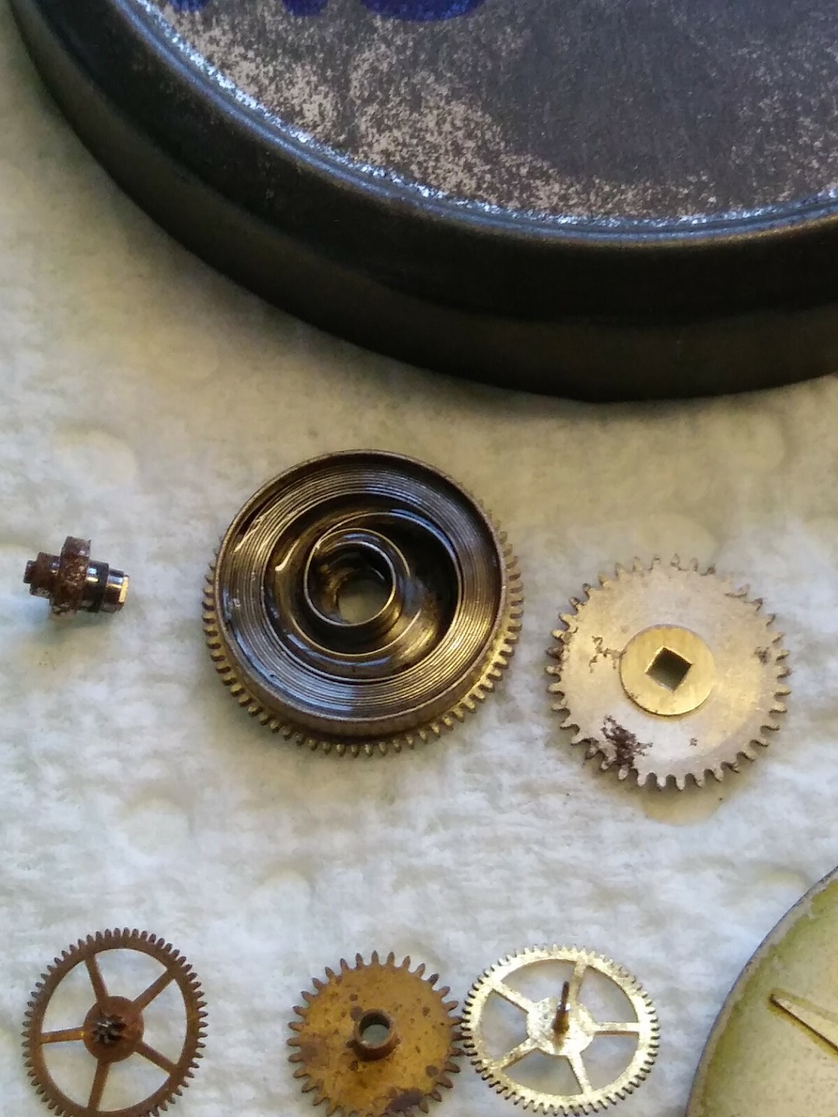 AS 1124 D Disassembled Wadsworth Movement, Dial, Hands, Holder, Case back Repair
