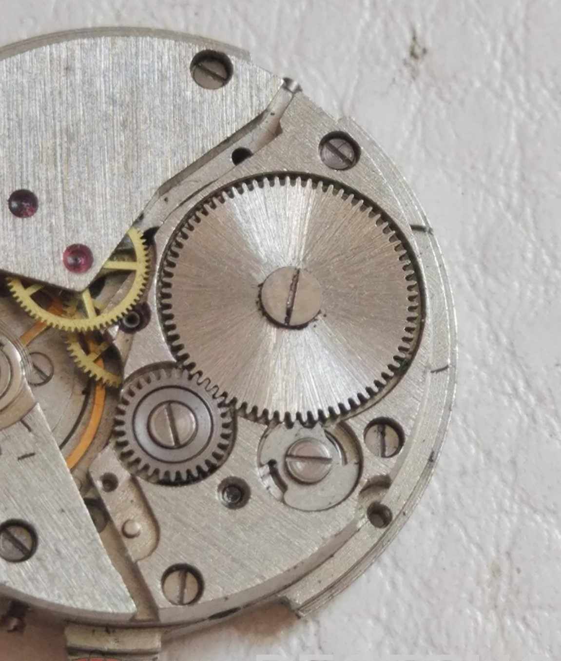 Winding spring for Vostok handwind watches (spare parts) PRUZH2414