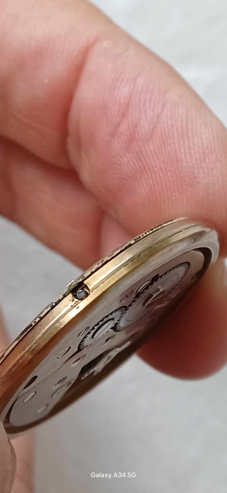 Verbena Working Manual Winding Movement Watch 34mm