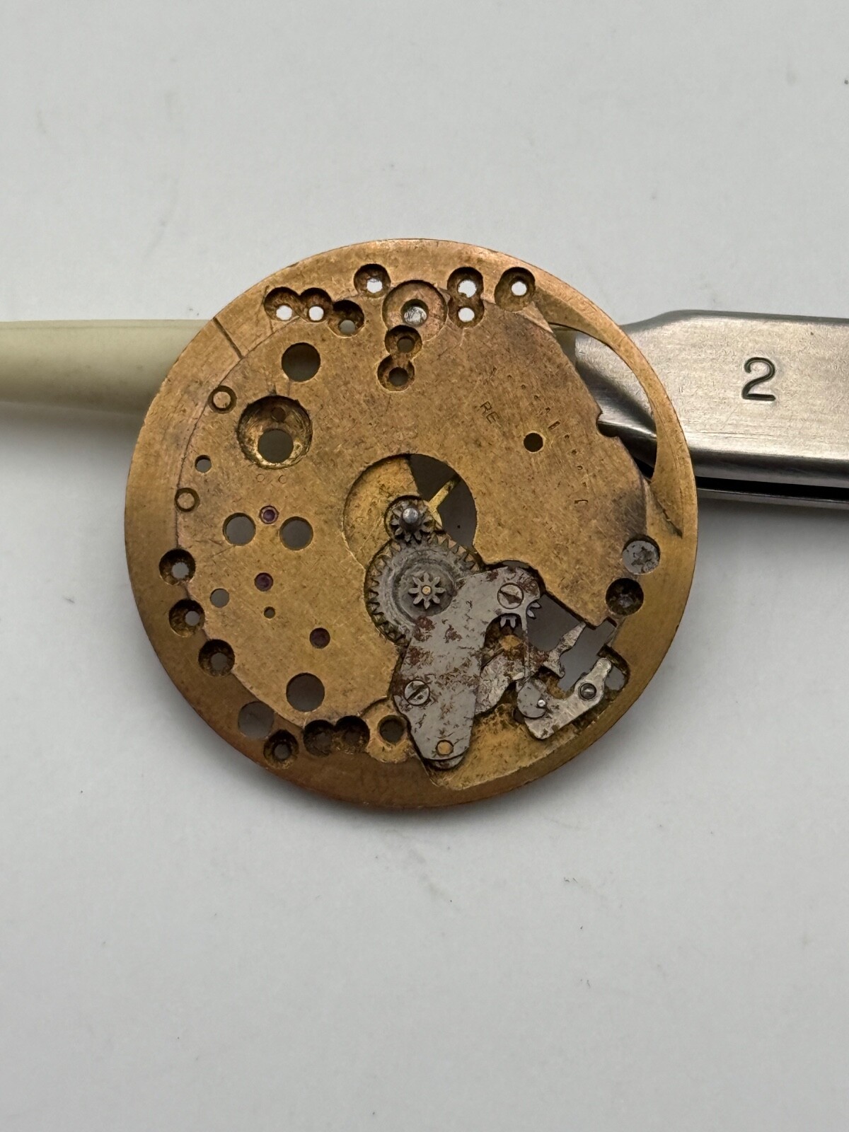 as 1203 platinum main plate movement movement