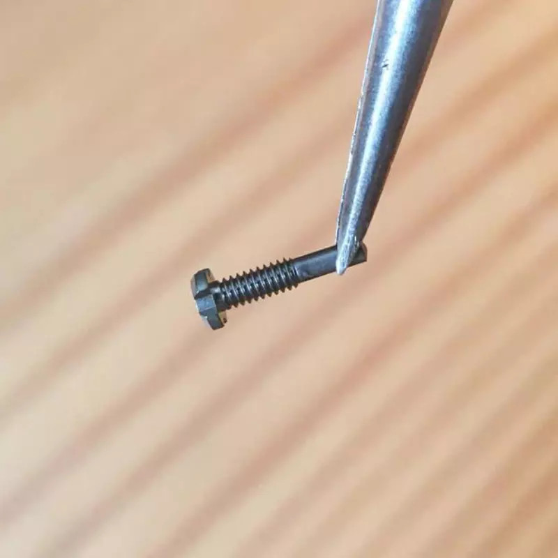 1pcs Titanium 4 Prongs Watch Screw Fits Richard Mille RM005 RM010 07 Band/Bezel