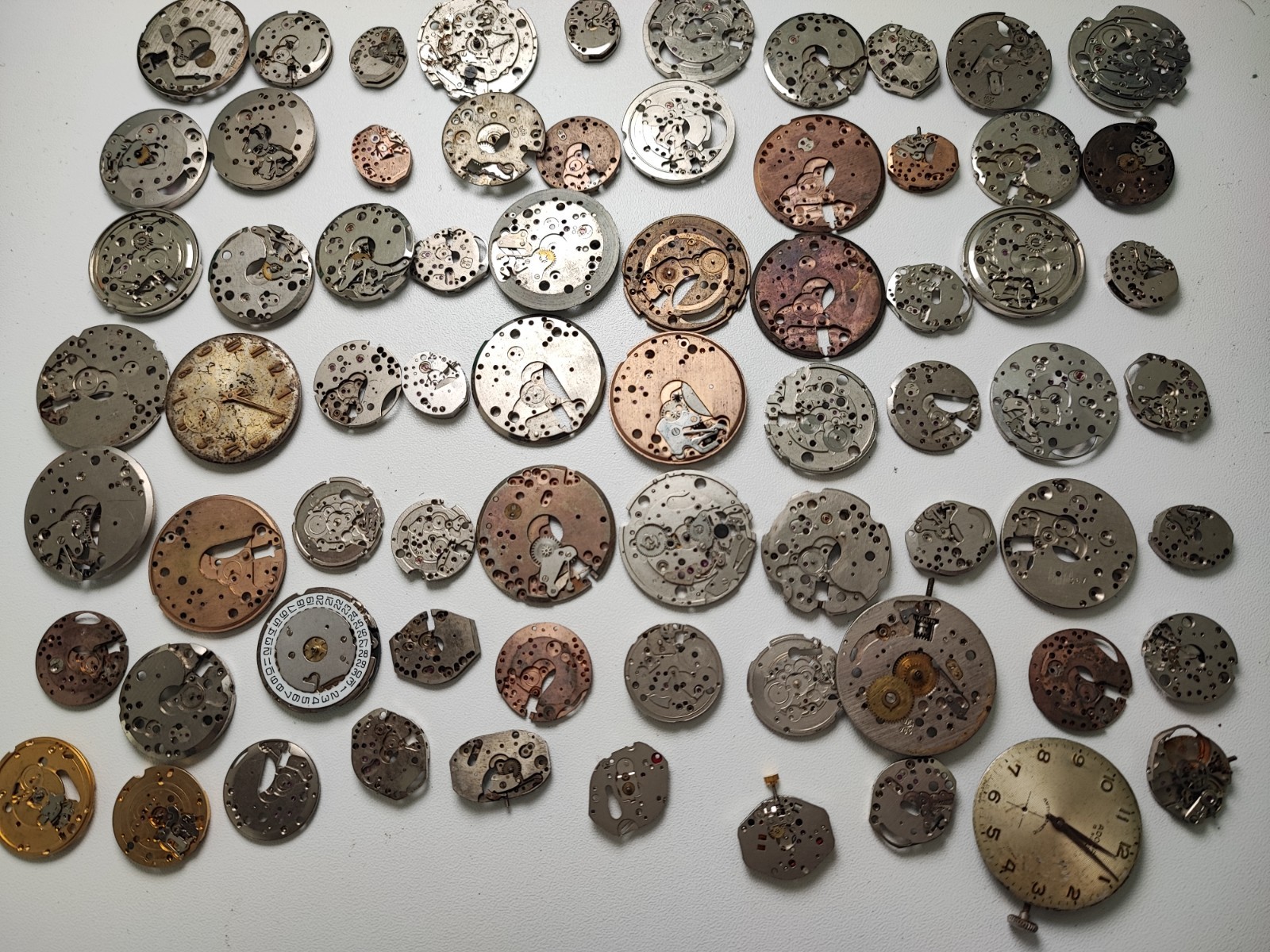 mix Watch Main Plate platinum lot watchmaker brac as fef fe int bfg ut gub ot…