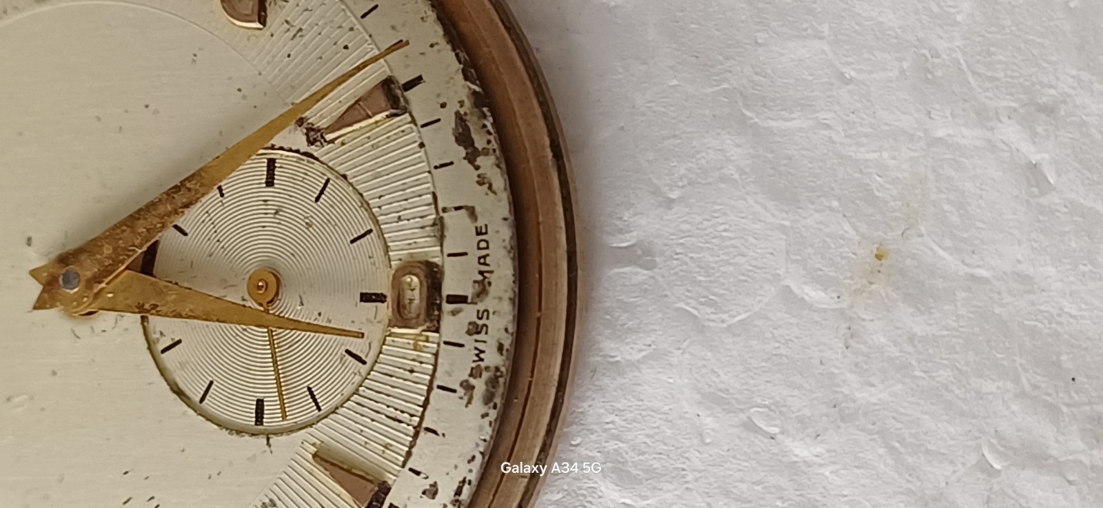 Verbena Working Manual Winding Movement Watch 34mm
