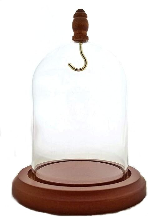 3 X 4 Pocket Watch Glass Display Dome Cloche With Hook & Wood Knob Walnut Staine