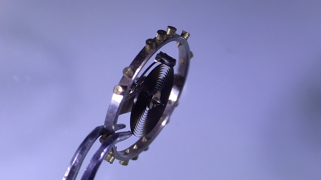 Complete Dial Counterweight For Watch A.SCHILD 1002 – Axis Height 313