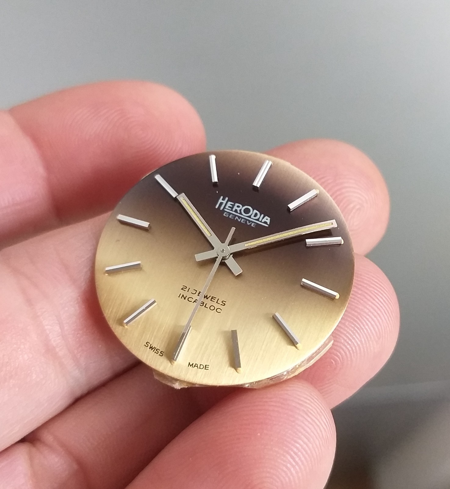 AS 1900 Steel Case + Dial 35mm Project Watch NOS Vintage Swiss Parts No Movement