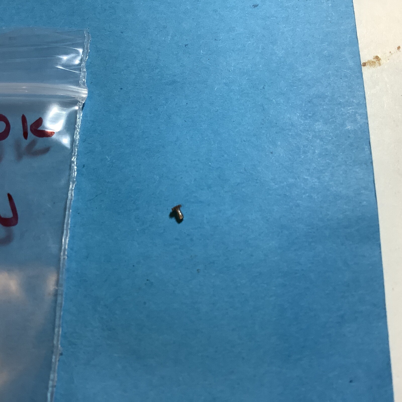 CLASSIC WATCH PARTS. . WOSTOK 2409 /2409A CANNON PINION