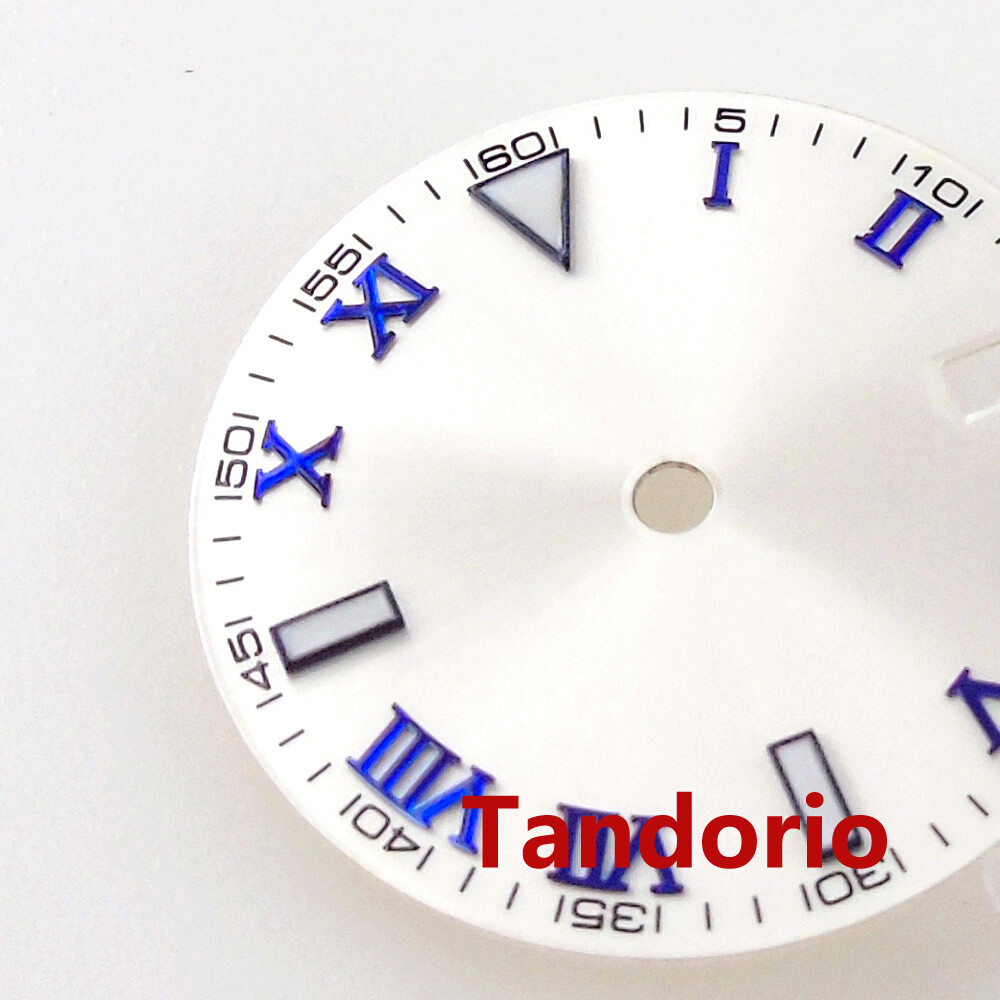 29mm White Watch Dial Luminous for NH35A MIYOTA ETA2824 PT5000 Roman Number Mark