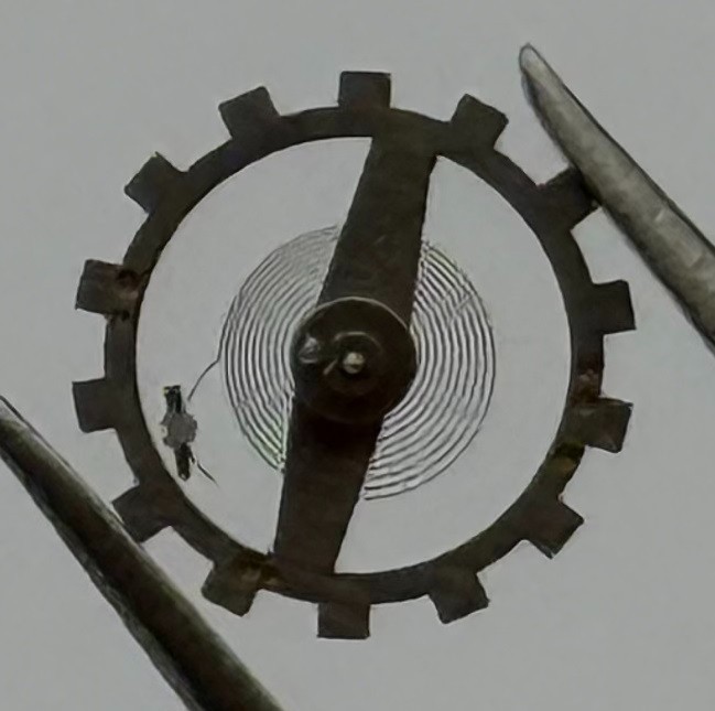 Brac 2061 Balance Wheel Complete And Spring 7¾’’’ 497 Watch Movement Parts NOS