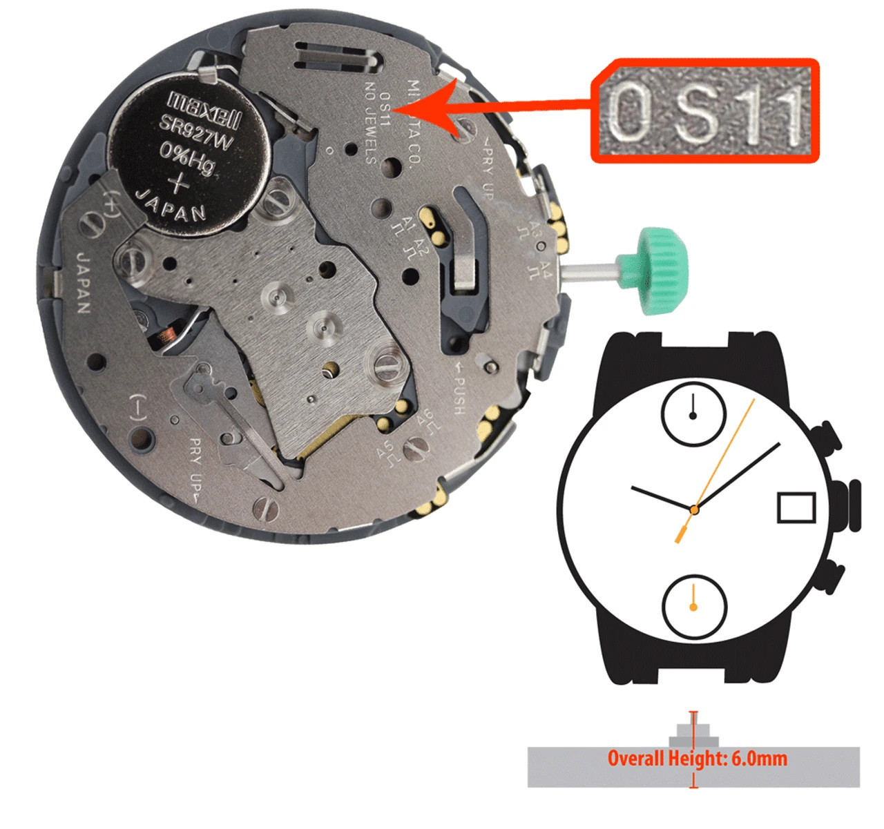 Miyota/Citizen 0S11, 3 Hands, Date @3, Japan Quartz Movement Ht. 6.00MM